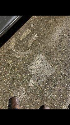 Whitemam Lawn Care & Pressure Washing