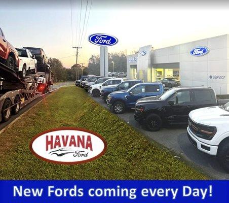Havana Ford