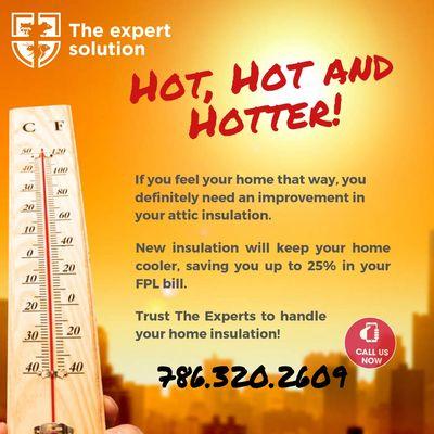 Rat Expert Solutions