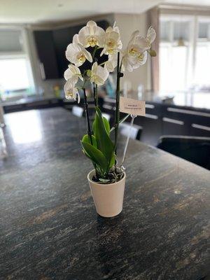 Yellow Rose Florist And Flower Basket