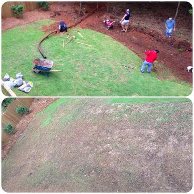 Landscape Renovation