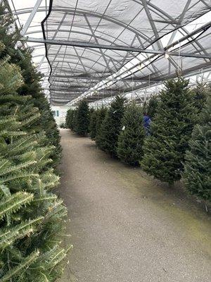 Paul's & Sandy's Too