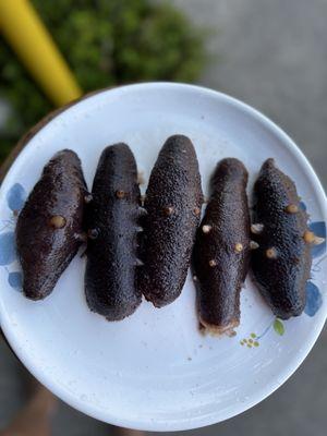 warty sea cucumbers