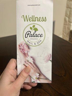 Hand holding pamphlet for business.