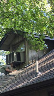 Steven Mulkey's Handy Man service