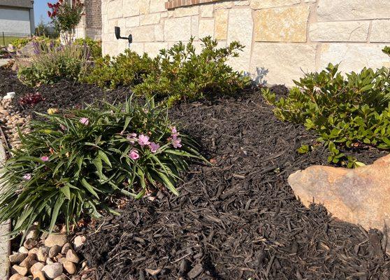 Dallas Landscape Designs