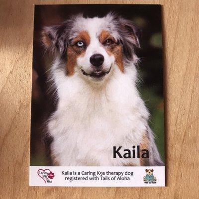Just picked up my Therapy Dog trading cards from Spectra Color. They are done with such high quality and affordable.