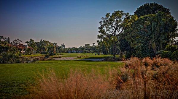 The Forest Country Club