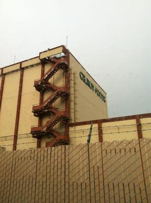 Olam Spices & Vegetables