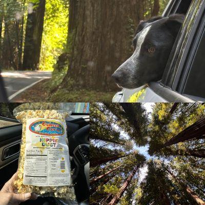 Redwoods Market and Deli