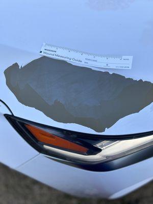 Myrtle Beach Hyundai