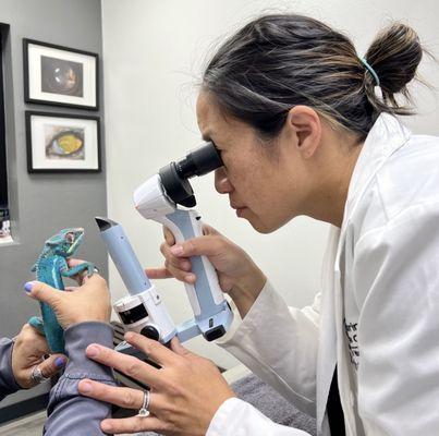 Looking into his eye... she was so patient with him.