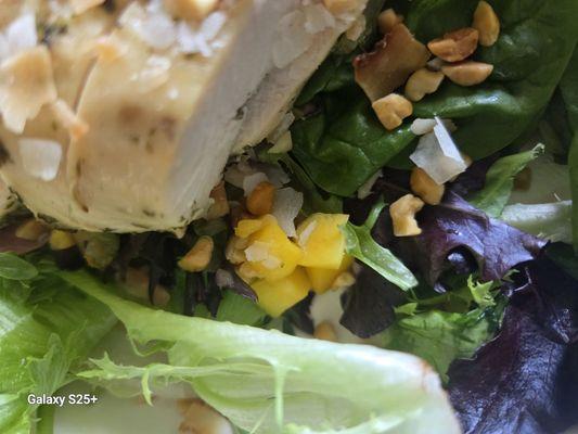 Modern Market Eatery