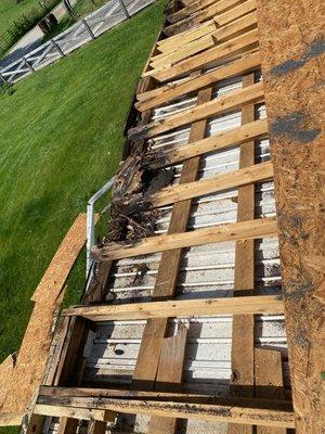 Kentucky Home Services