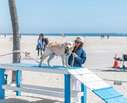 Monty’s Dog Beach & Bar