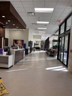 Texas A&M Veterinary Medical Teaching Hospital