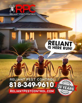 Reliant Pest Control