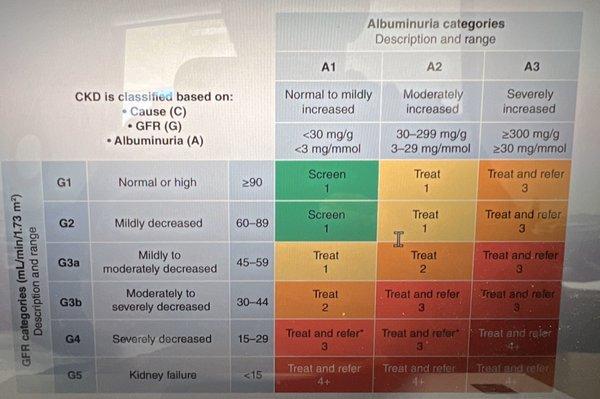If your kidney function is less than 45 or you have more than 300 of protein in your urine I can help you save your kidneys and your life!