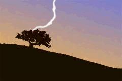 Z0's Cultural Arts Exchange