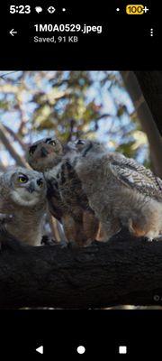 Alpha Tv And Electronics