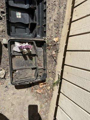 Home Defense Pest Control