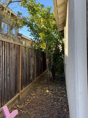 Contra Costa Tree & Stump Removal