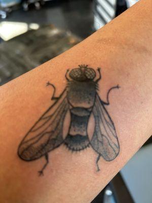 A fly tattoo because I'm the shit