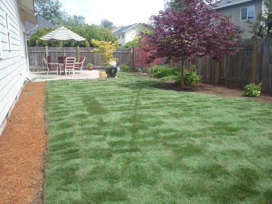 Better Lawns and Gardens