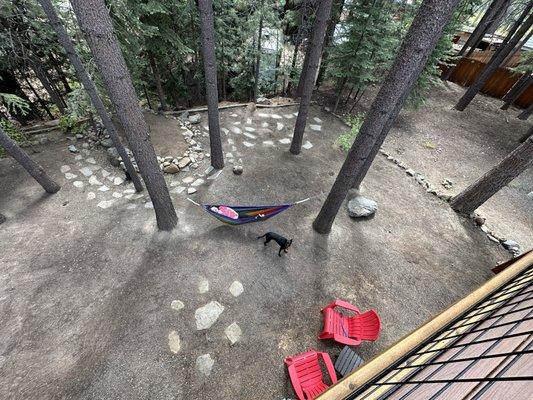 The Family Yard Cleanup & Hauling