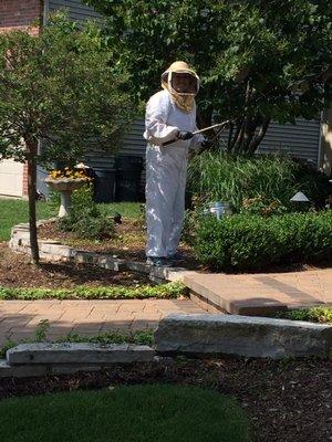 ABG Pest Control Services