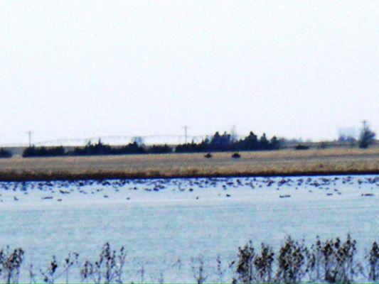 Harvard Waterfowl Production Area