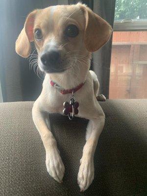 Orlando Arreygue Massage Therapist