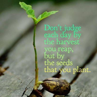 CreditWorthy Solutions