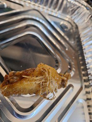 Another view of the flying wing