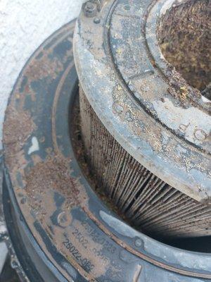 Las Vegas Pool Service