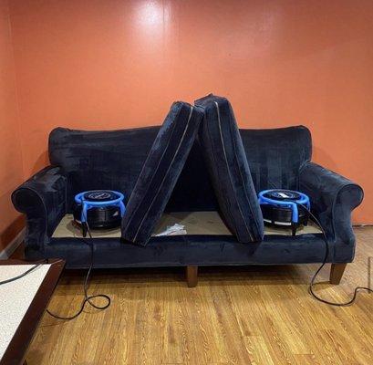 New Leaf Carpet and Upholstery Cleaning