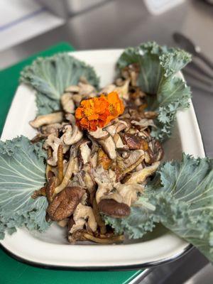 Faherty Sun & Waves All Day Kitchen