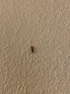 Quality Inn Gulfport I-10