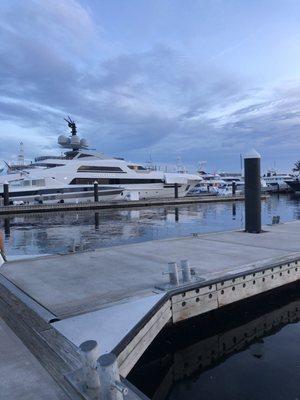 Yachts galore