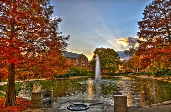 Mirror Lake Family Dentistry