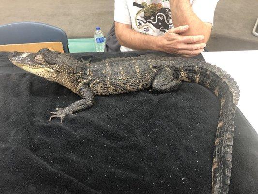 Pioneer Library Systems Libraries