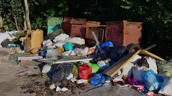 Junk Expert & Quality Landscape