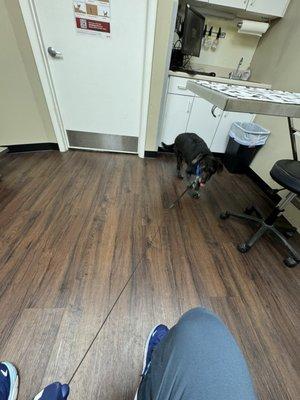 Animal Medical Center