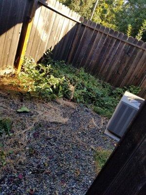 Granados Landscaping