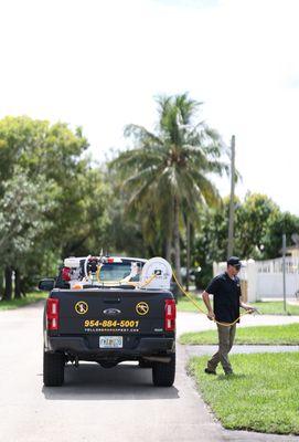 Yellow Banana Pest Control