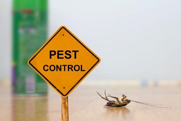 SteriForce Pest Prevention