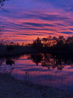 Sid's Home Maintenance