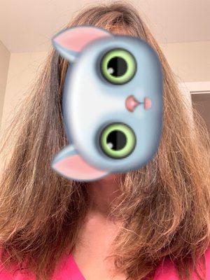 Polished Hair & Nails