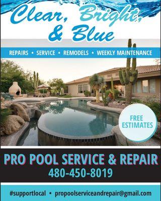 Pro Pool Service and Repair