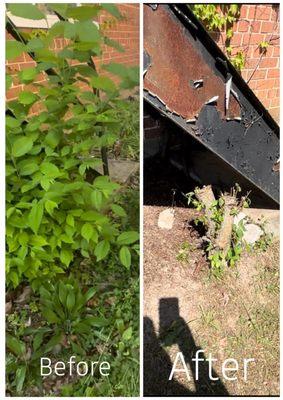 RRM Really Ready Moving & Hauling